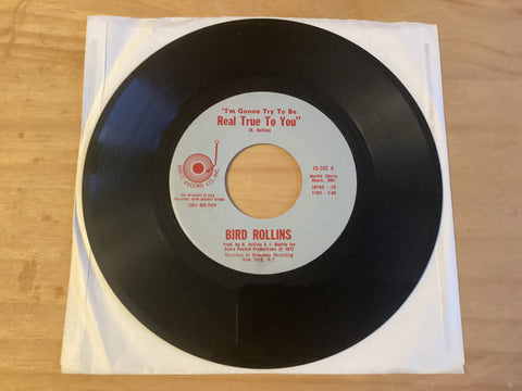 Bird Rollins - I’m Gonna Try To Be Real True To You