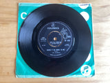 The Animals - Bring It On Home To Me