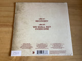 Frank Turner - Recovery